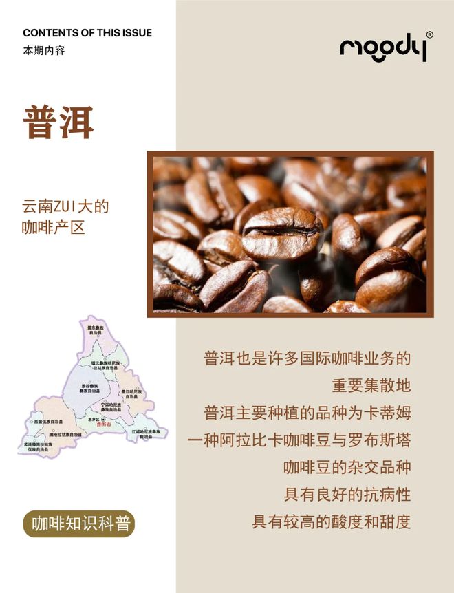 彩云之南的馥郁传奇开元棋牌云南咖啡：(图3)