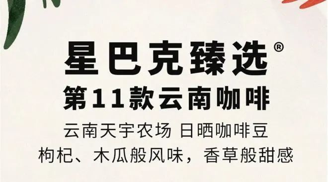 彩云之南的馥郁传奇开元棋牌云南咖啡：(图4)