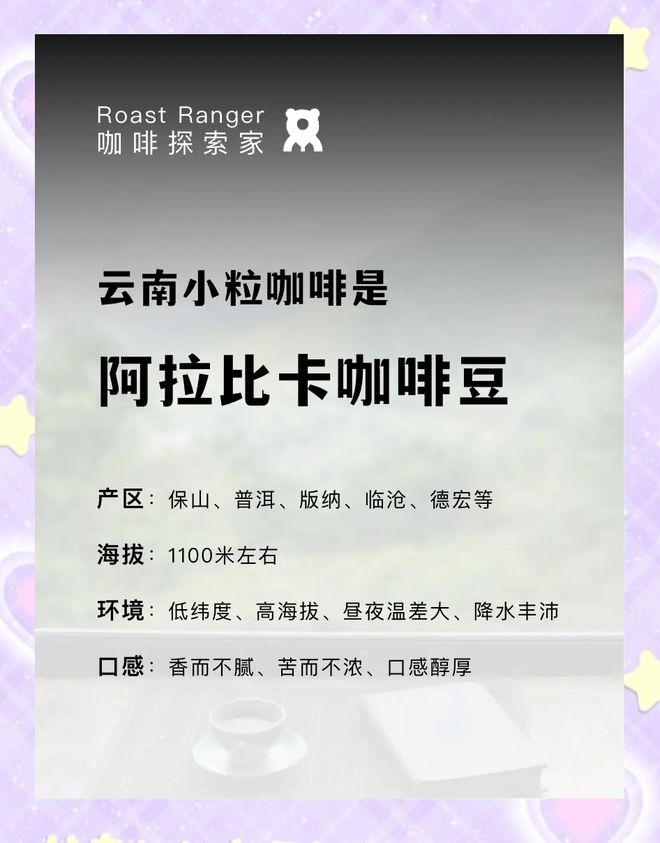 彩云之南的馥郁传奇开元棋牌云南咖啡：(图11)