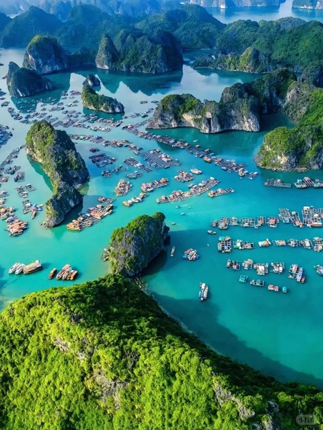 怎么样越南正规旅游公司如何联系？开元棋牌