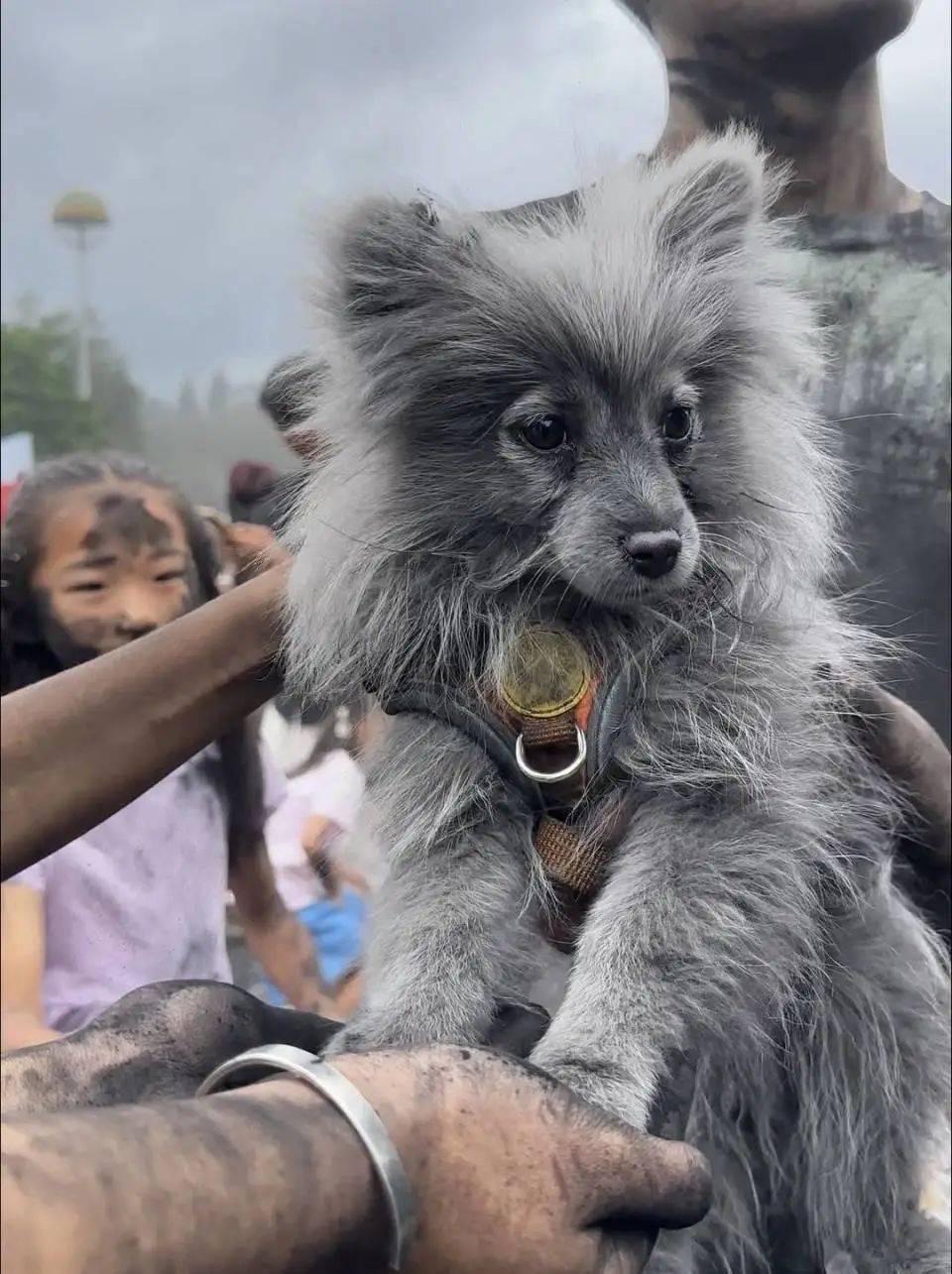 里参加云南抹黑节主打一个为了纯粹的快乐开